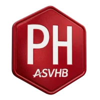 Écusson de la Promotion d'Honneur, plus haut niveau atteint par l'ASVHB